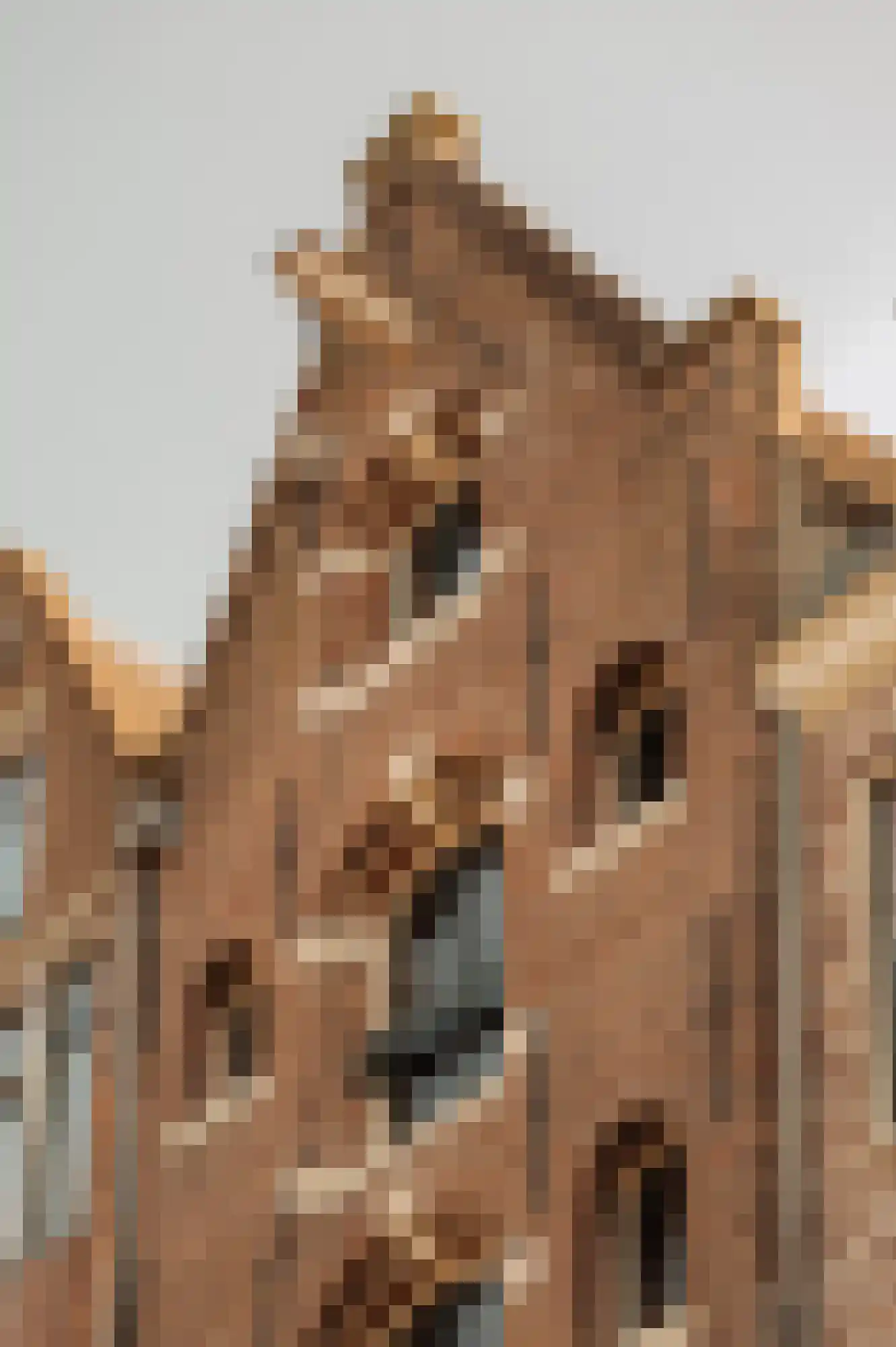 Prinseneiland 39 Amsterdam thumbnail 34