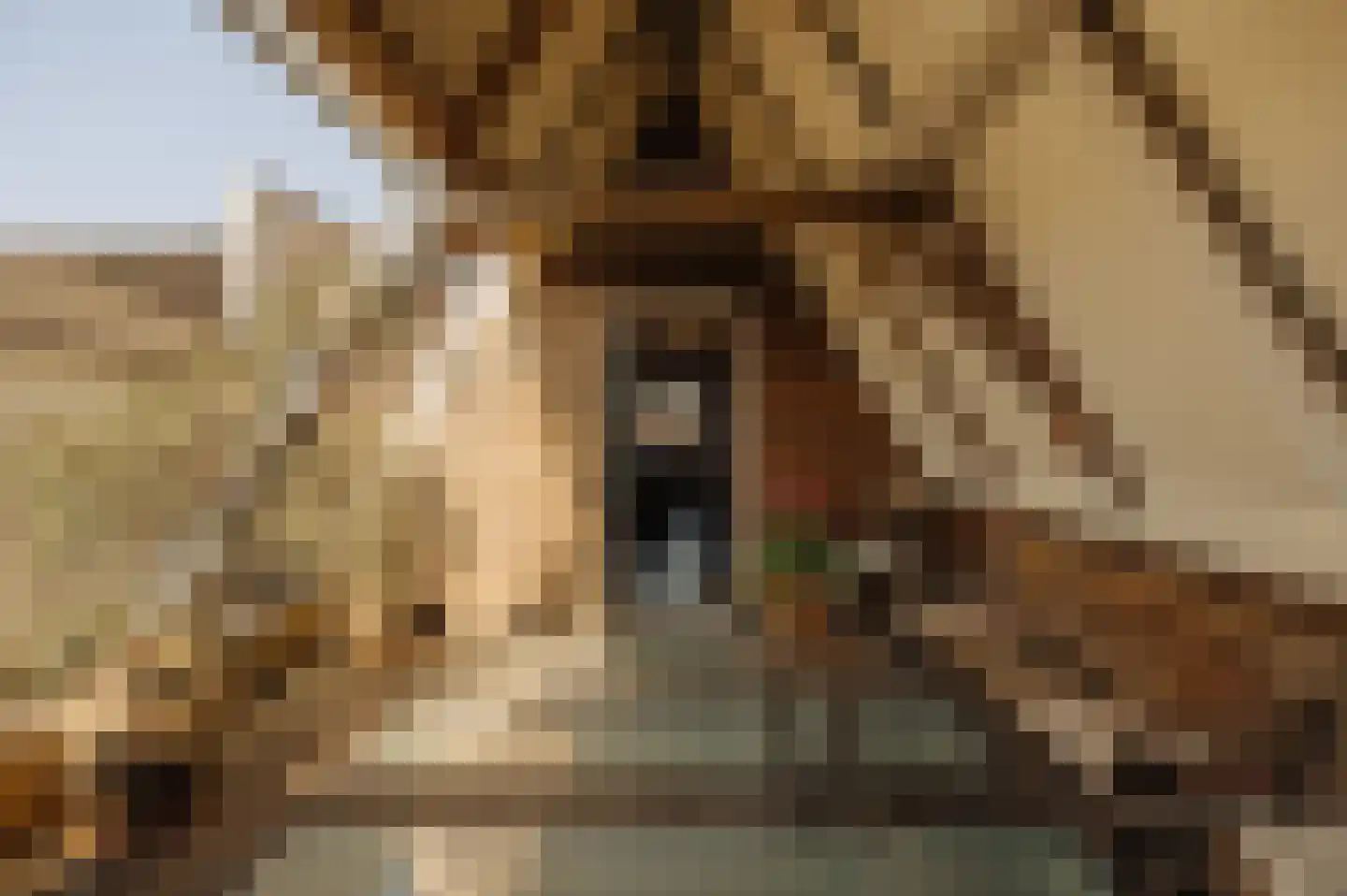 Prinseneiland 39 Amsterdam thumbnail 4