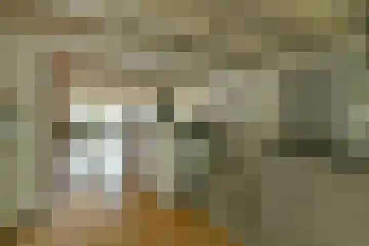 Prinseneiland 477 Amsterdam thumbnail 15
