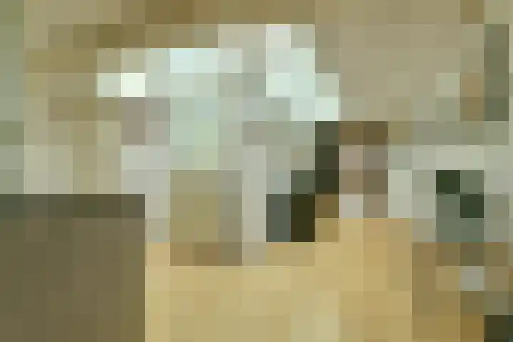 Prinseneiland 477 Amsterdam thumbnail 16