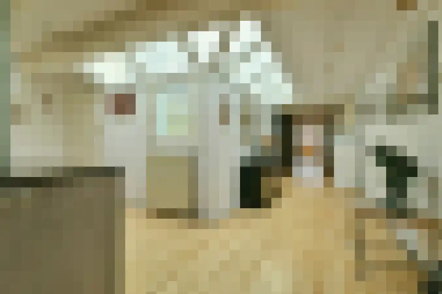 Prinseneiland 477 Amsterdam thumbnail 16
