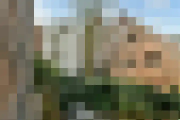 Prinseneiland 477 Amsterdam thumbnail 20