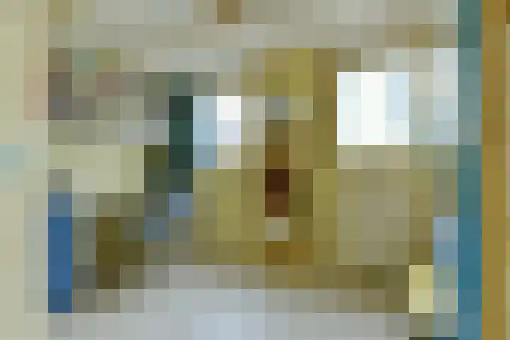 Prinseneiland 477 Amsterdam thumbnail 23