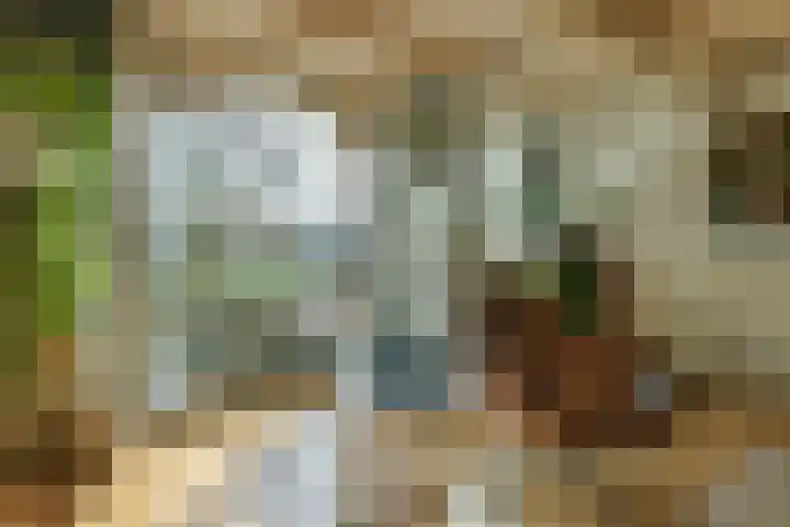 Prinseneiland 477 Amsterdam thumbnail 5