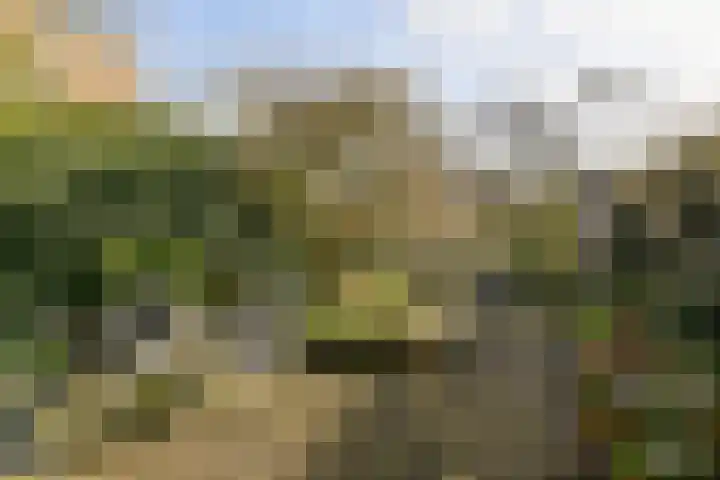 Prinseneiland 477 Amsterdam thumbnail 7