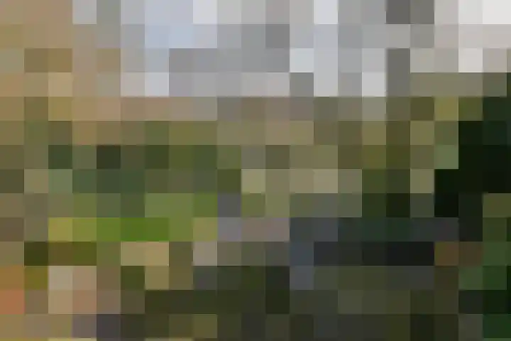 Prinseneiland 477 Amsterdam thumbnail 8