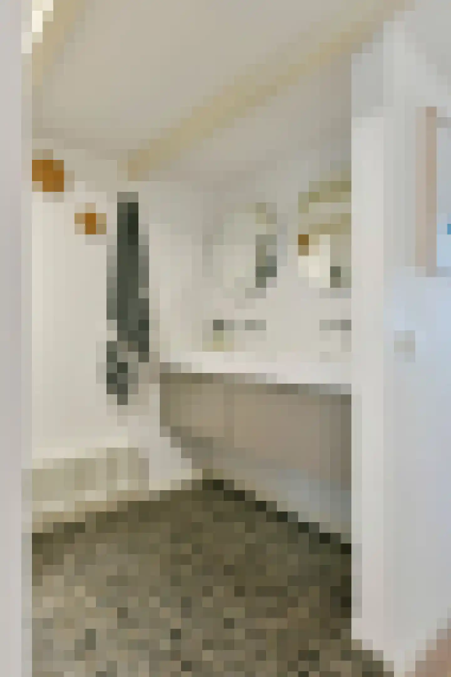 Prinseneiland 505 Amsterdam thumbnail 22