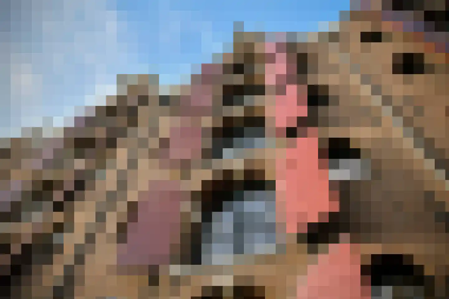 Prinseneiland 505 Amsterdam thumbnail 5