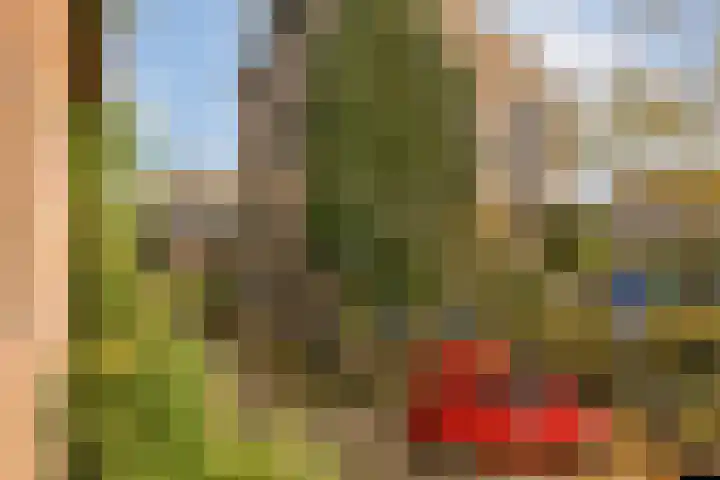 Prinseneiland 517 Amsterdam thumbnail 15