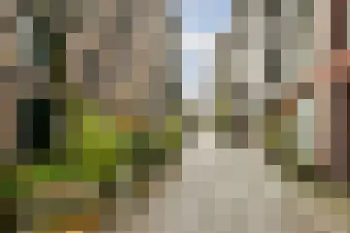 Prinseneiland 517 Amsterdam thumbnail 16