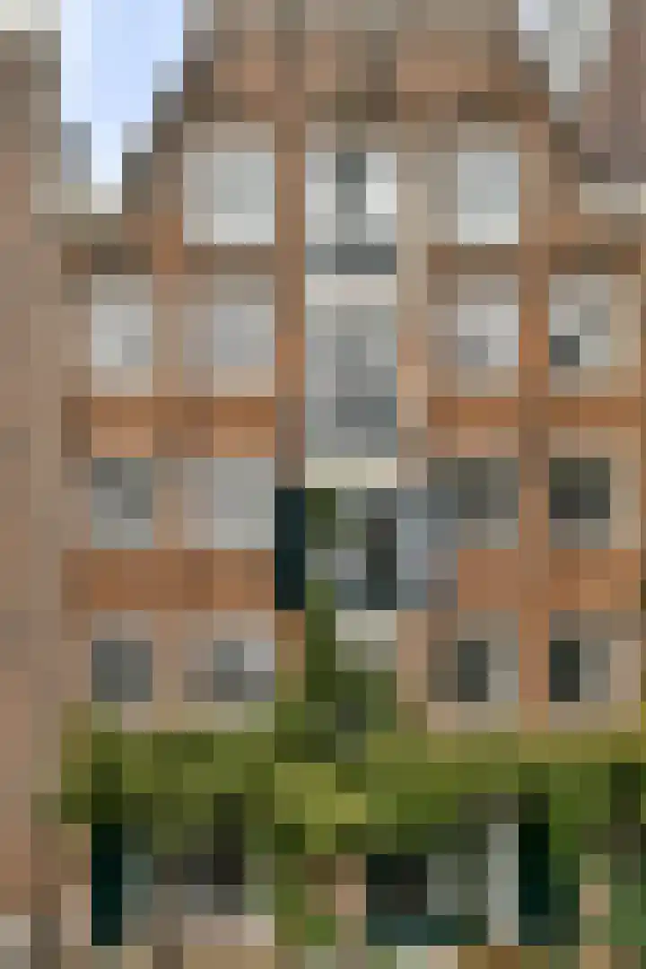 Prinseneiland 517 Amsterdam thumbnail 18