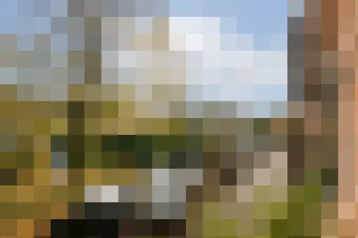 Prinseneiland 517 Amsterdam thumbnail 20