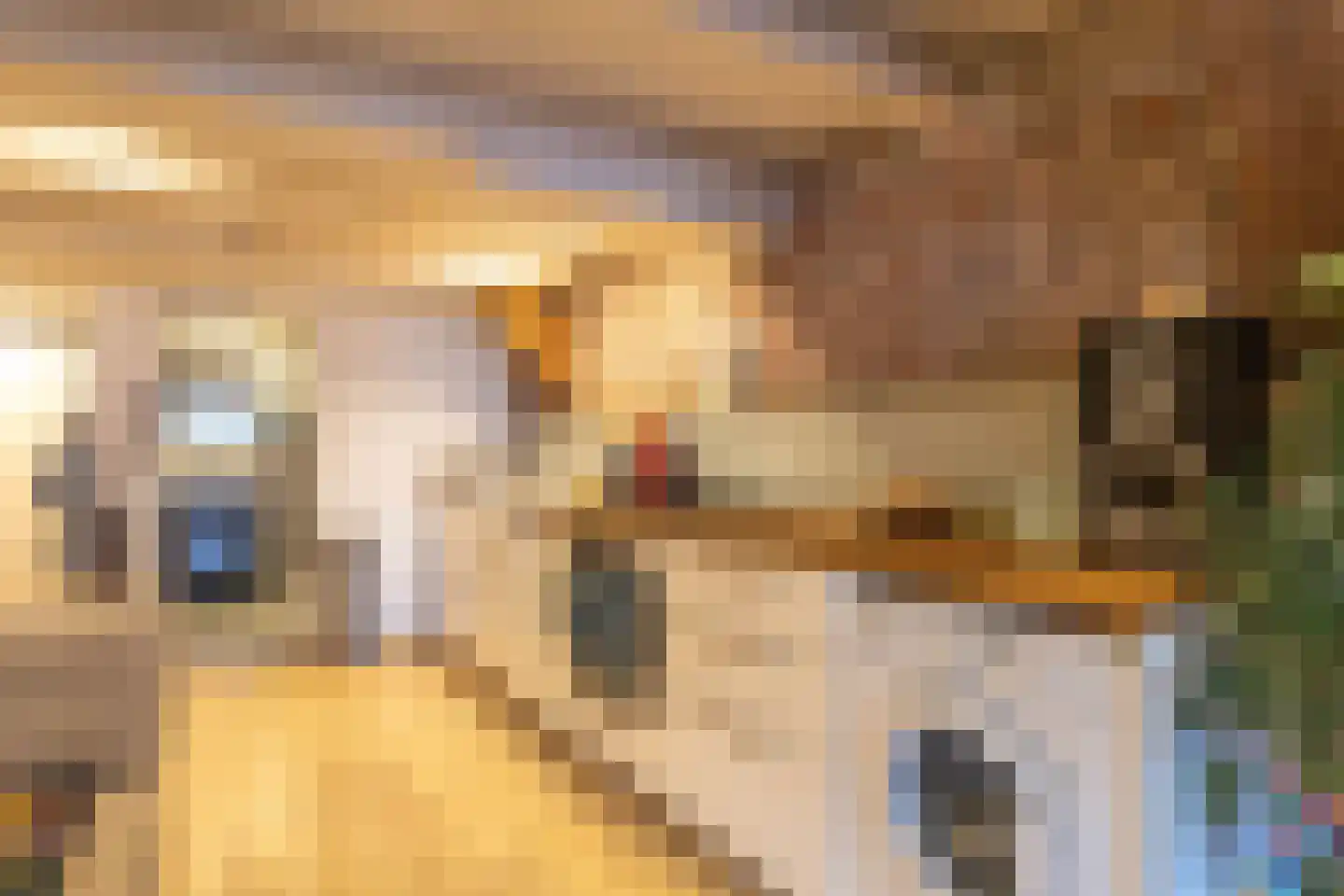Prinseneiland 519 Amsterdam thumbnail 10
