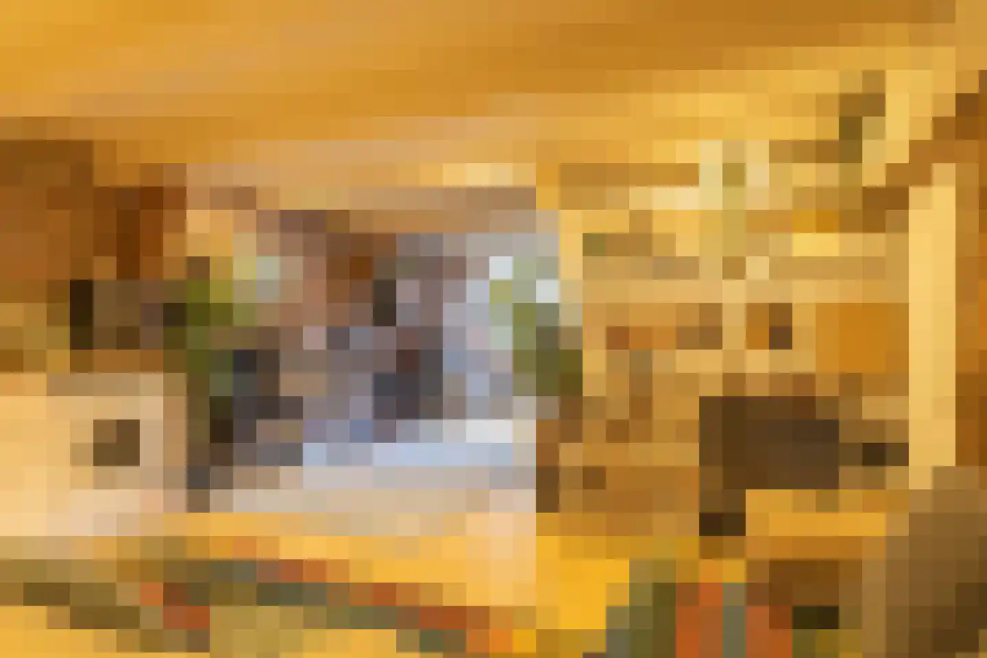 Prinseneiland 519 Amsterdam thumbnail 7