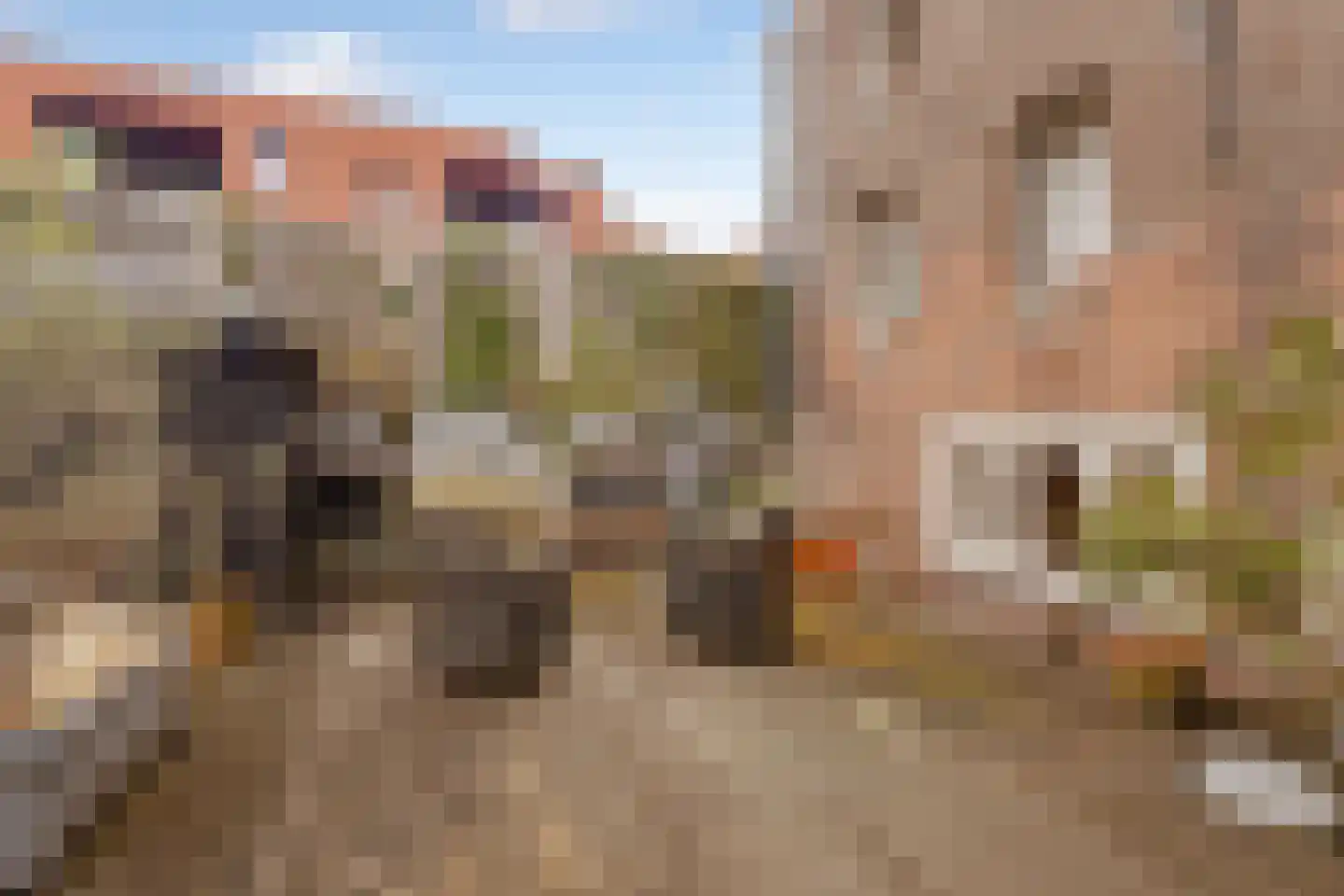 Prinseneiland 523 Amsterdam thumbnail 18
