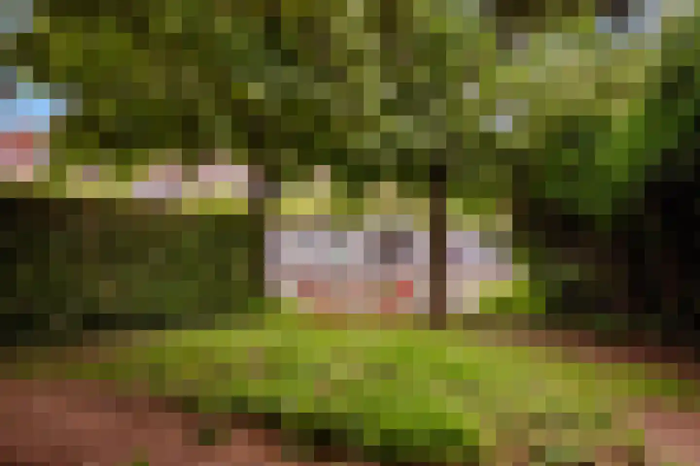 Prinseneiland 523 Amsterdam thumbnail 23