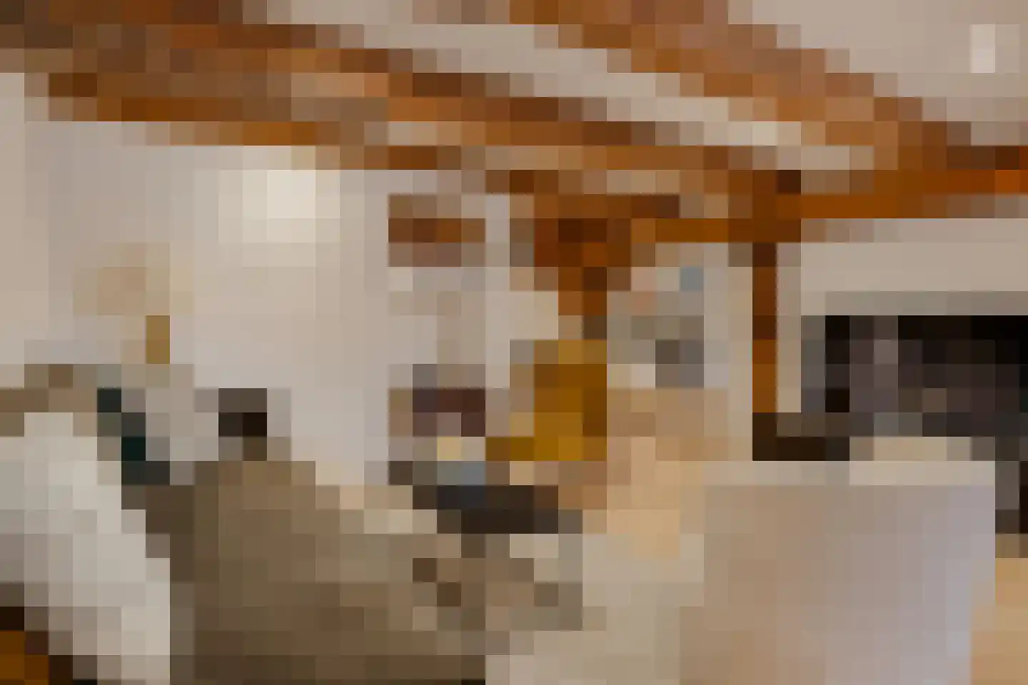 Prinseneiland 523 Amsterdam thumbnail 4