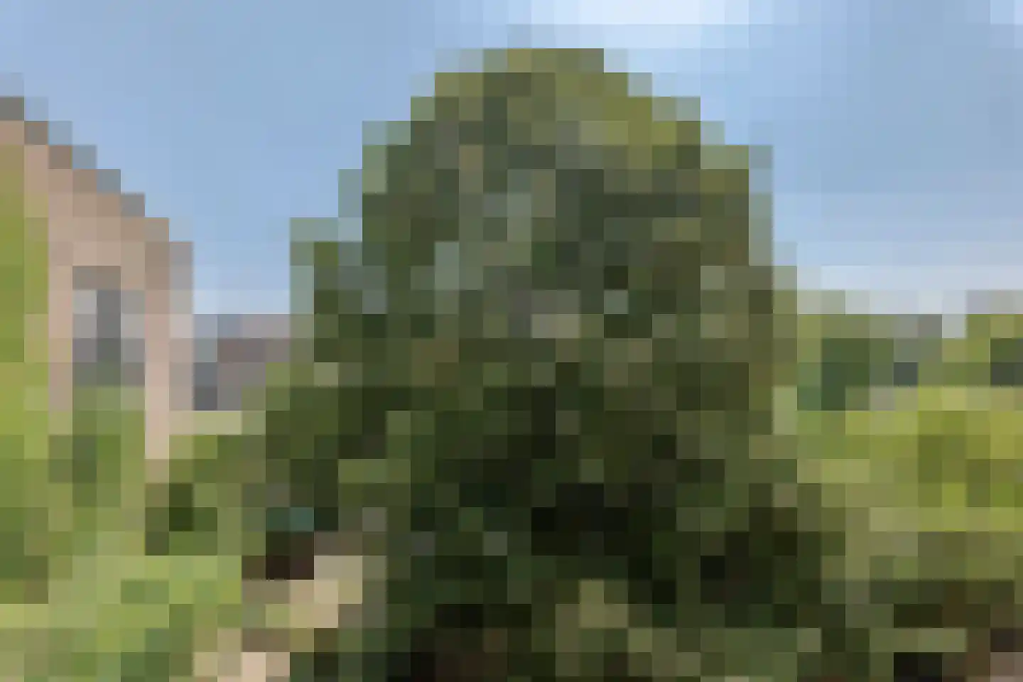 Prinseneiland 533 Amsterdam thumbnail 6