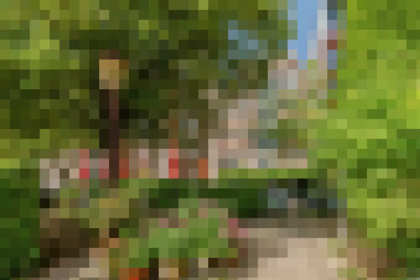 Prinseneiland 535 Amsterdam thumbnail 23