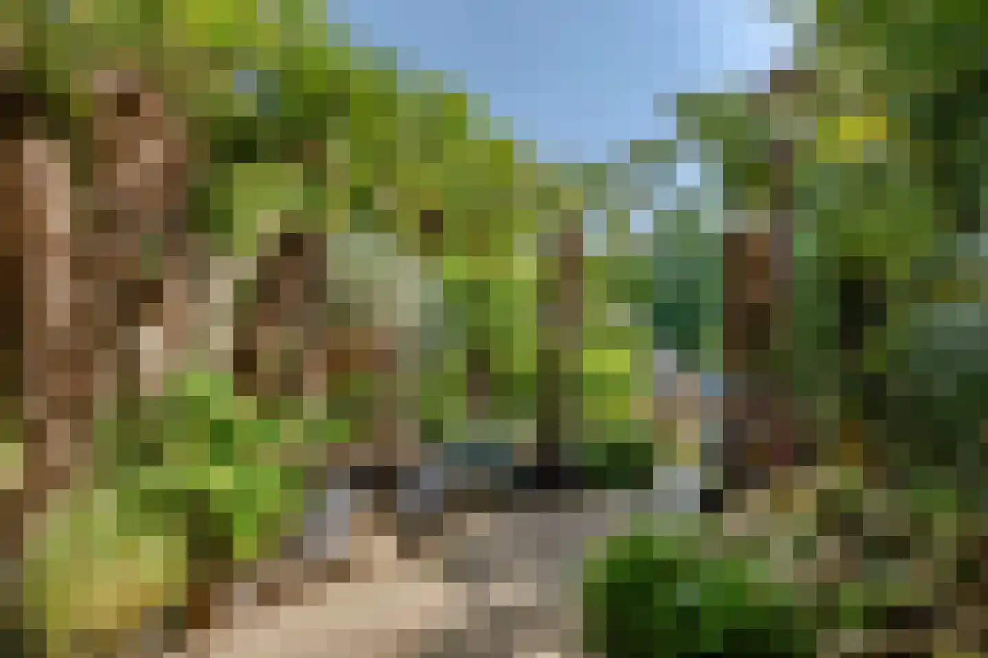 Prinseneiland 535 Amsterdam thumbnail 25