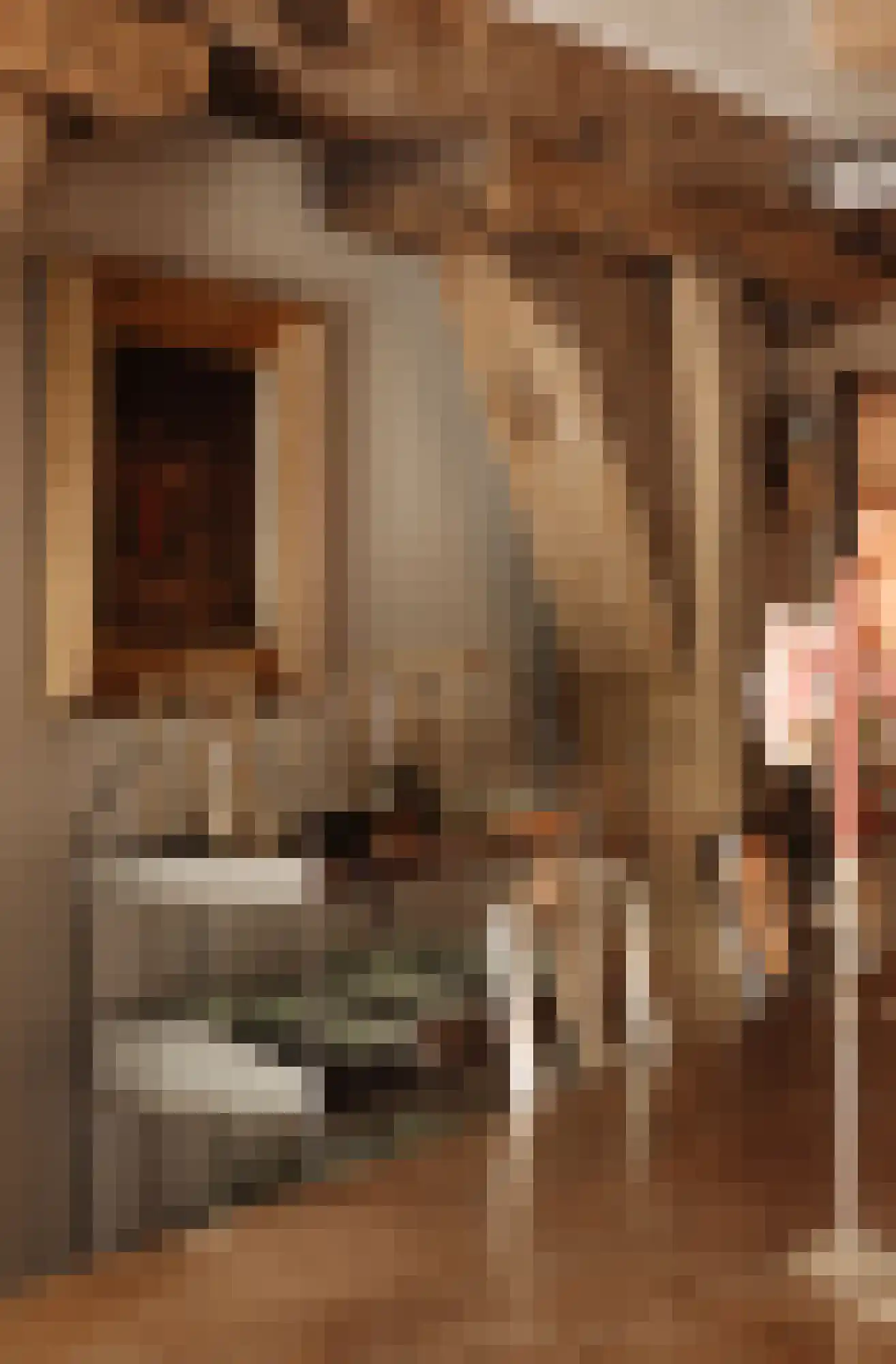 Prinseneiland 545 Amsterdam thumbnail 16
