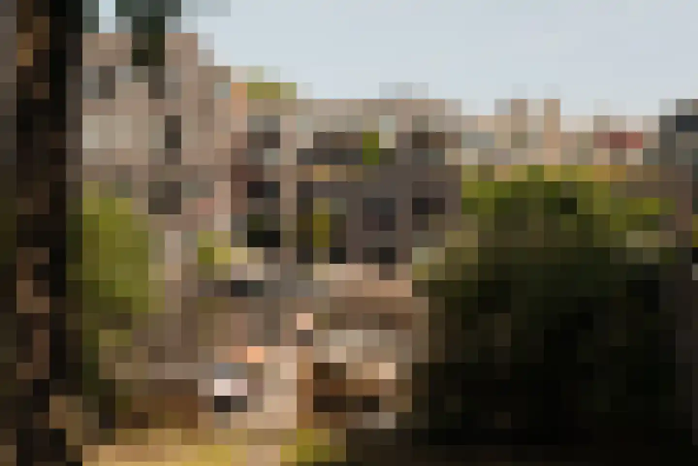 Prinseneiland 545 Amsterdam thumbnail 34