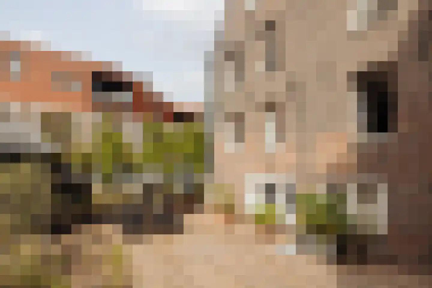 Prinseneiland 545 Amsterdam thumbnail 4