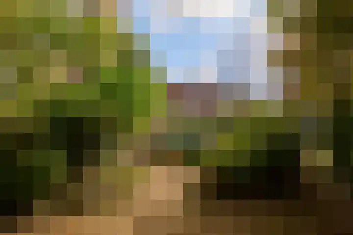 Prinseneiland 567 Amsterdam thumbnail 29