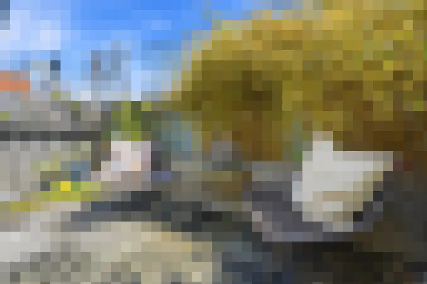 Prinseneiland 67 B Amsterdam thumbnail 24