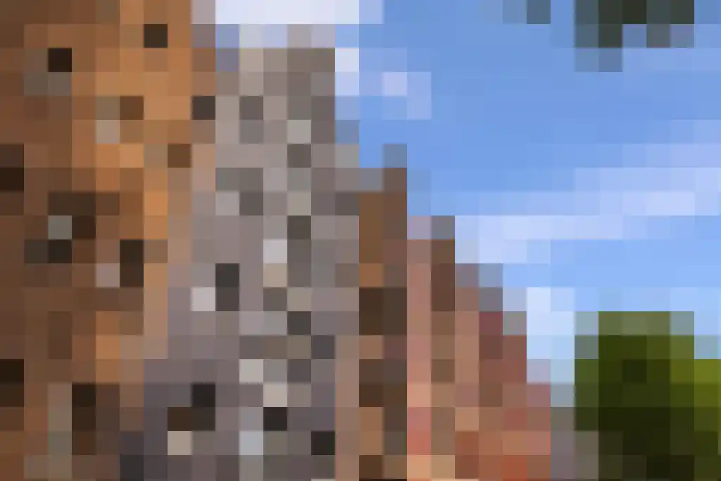 Prinseneiland 77 2 Amsterdam thumbnail 41