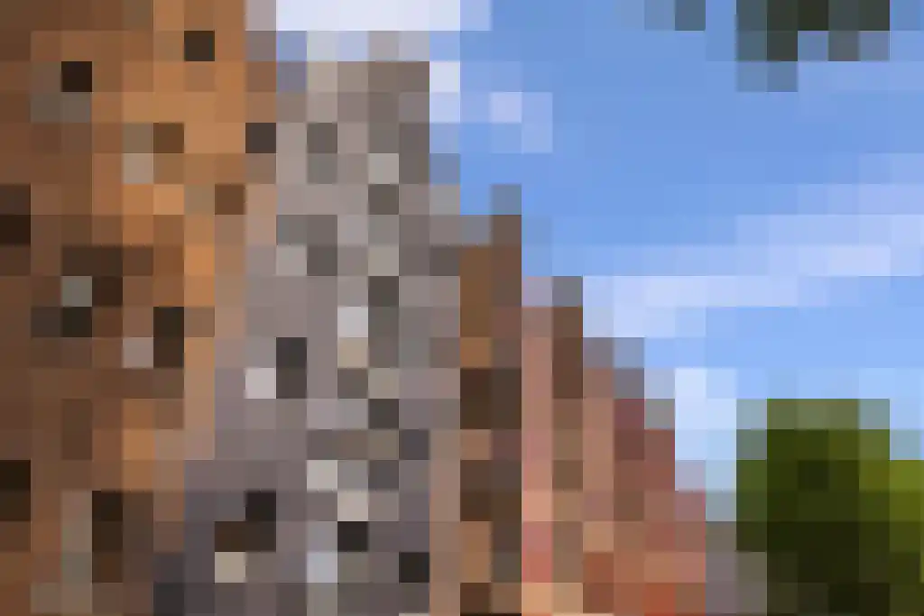 Prinseneiland 77 2 Amsterdam thumbnail 41