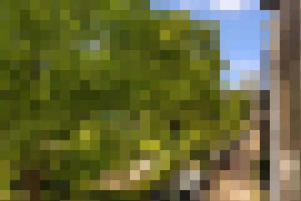 Prinseneiland 77 2 Amsterdam thumbnail 42