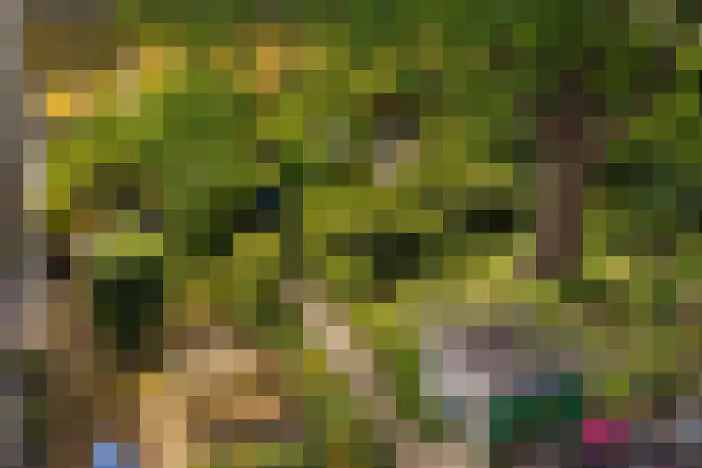 Prinseneiland 77 2 Amsterdam thumbnail 43