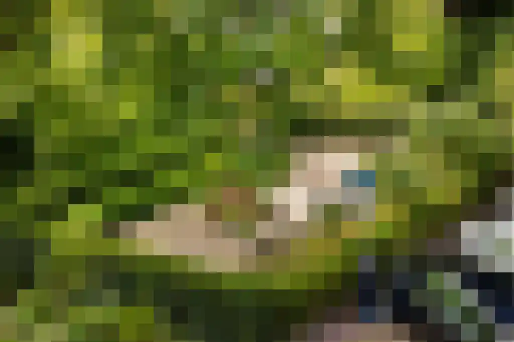 Prinseneiland 77 2 Amsterdam thumbnail 44