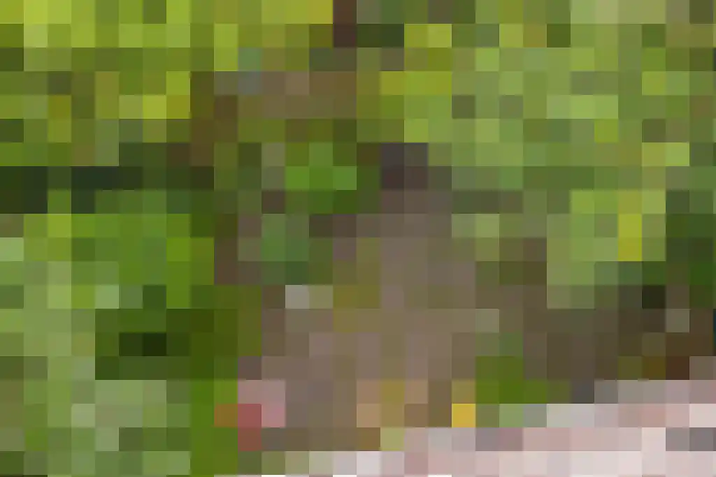 Prinseneiland 77 2 Amsterdam thumbnail 45
