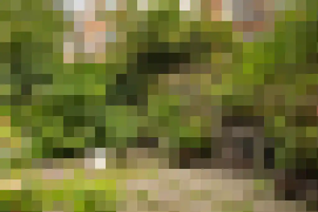 Prinseneiland 77 2 Amsterdam thumbnail 46