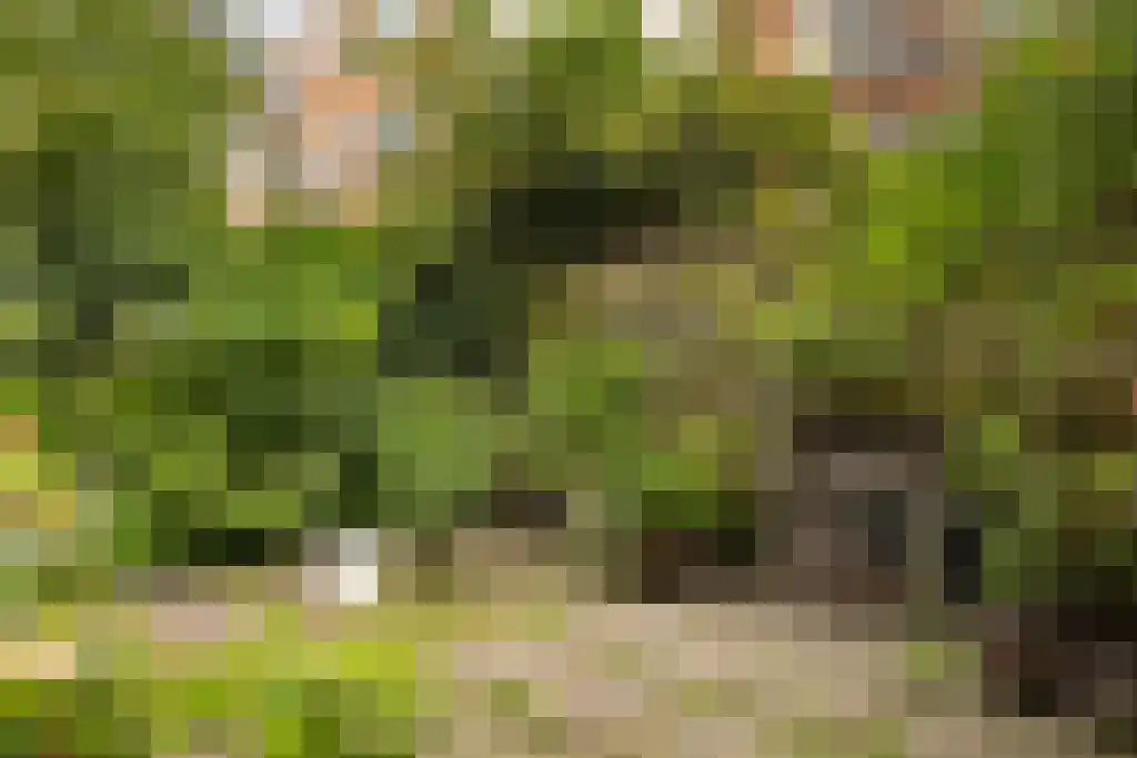 Prinseneiland 77 2 Amsterdam thumbnail 46