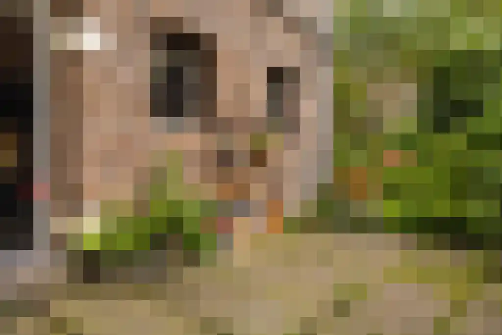 Prinseneiland 77 2 Amsterdam thumbnail 47