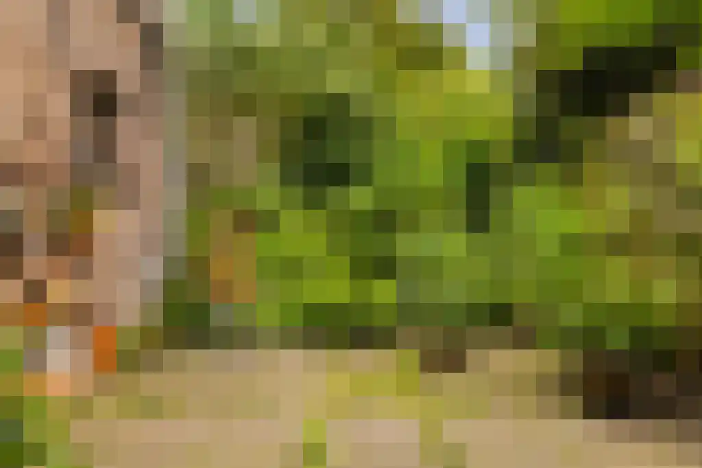 Prinseneiland 77 2 Amsterdam thumbnail 48