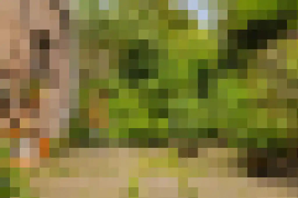 Prinseneiland 77 2 Amsterdam thumbnail 48