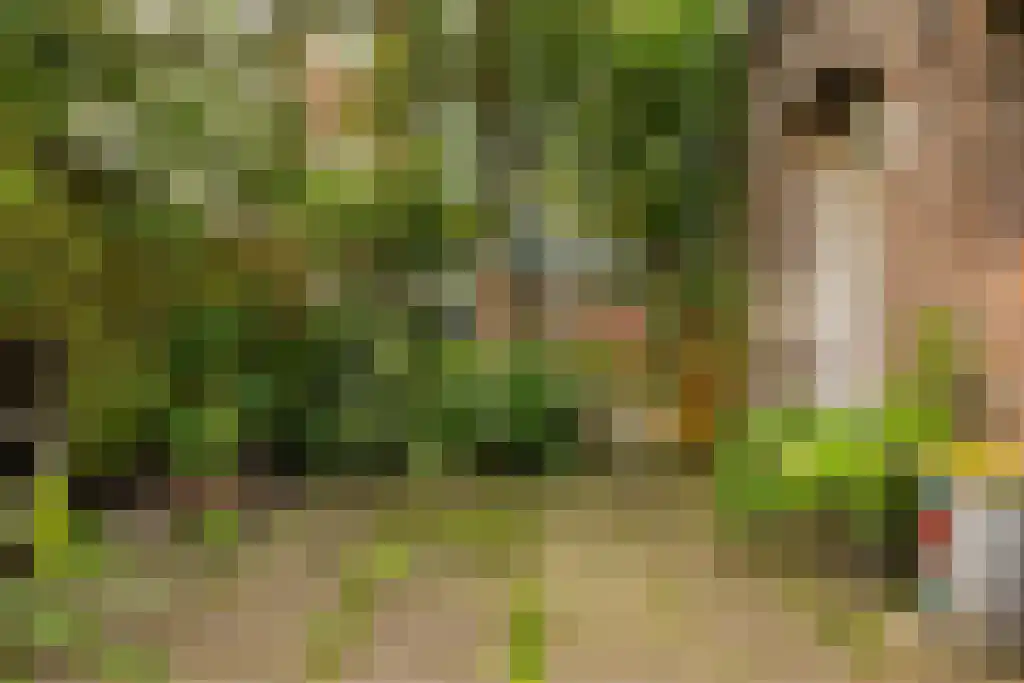 Prinseneiland 77 2 Amsterdam thumbnail 49