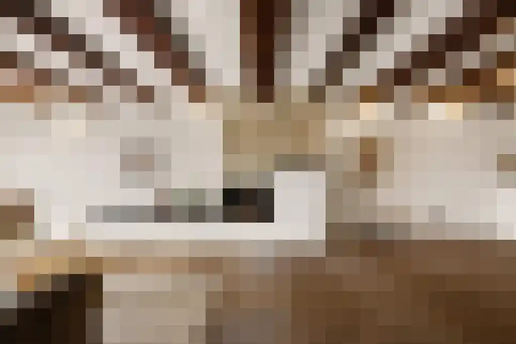 Prinseneiland 77 2 Amsterdam thumbnail 5