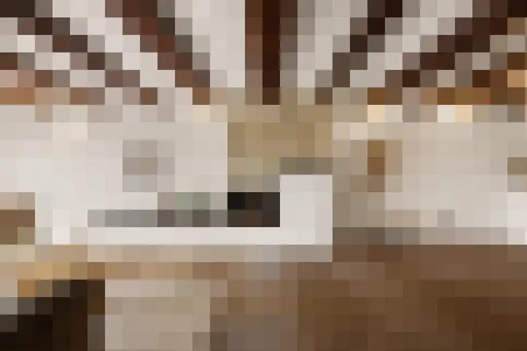 Prinseneiland 77 2 Amsterdam thumbnail 5
