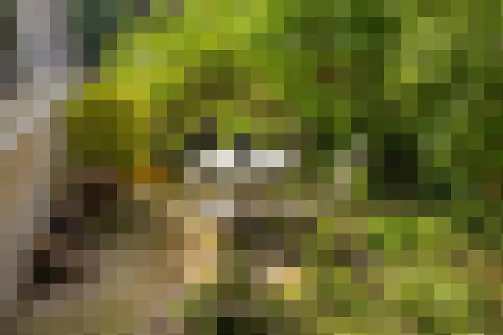 Prinseneiland 77 2 Amsterdam thumbnail 50
