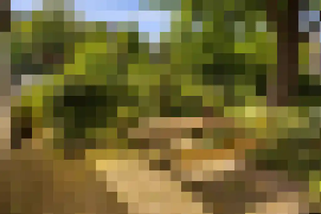 Prinseneiland 77 2 Amsterdam thumbnail 56