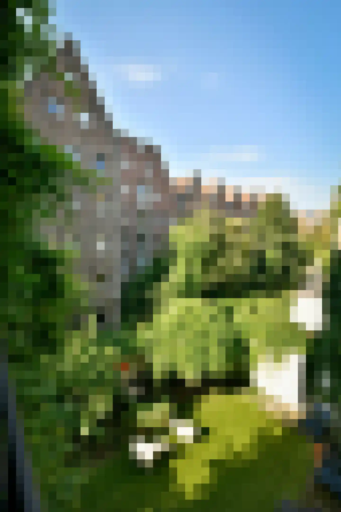 Prinseneiland 9 2LA Amsterdam thumbnail 16