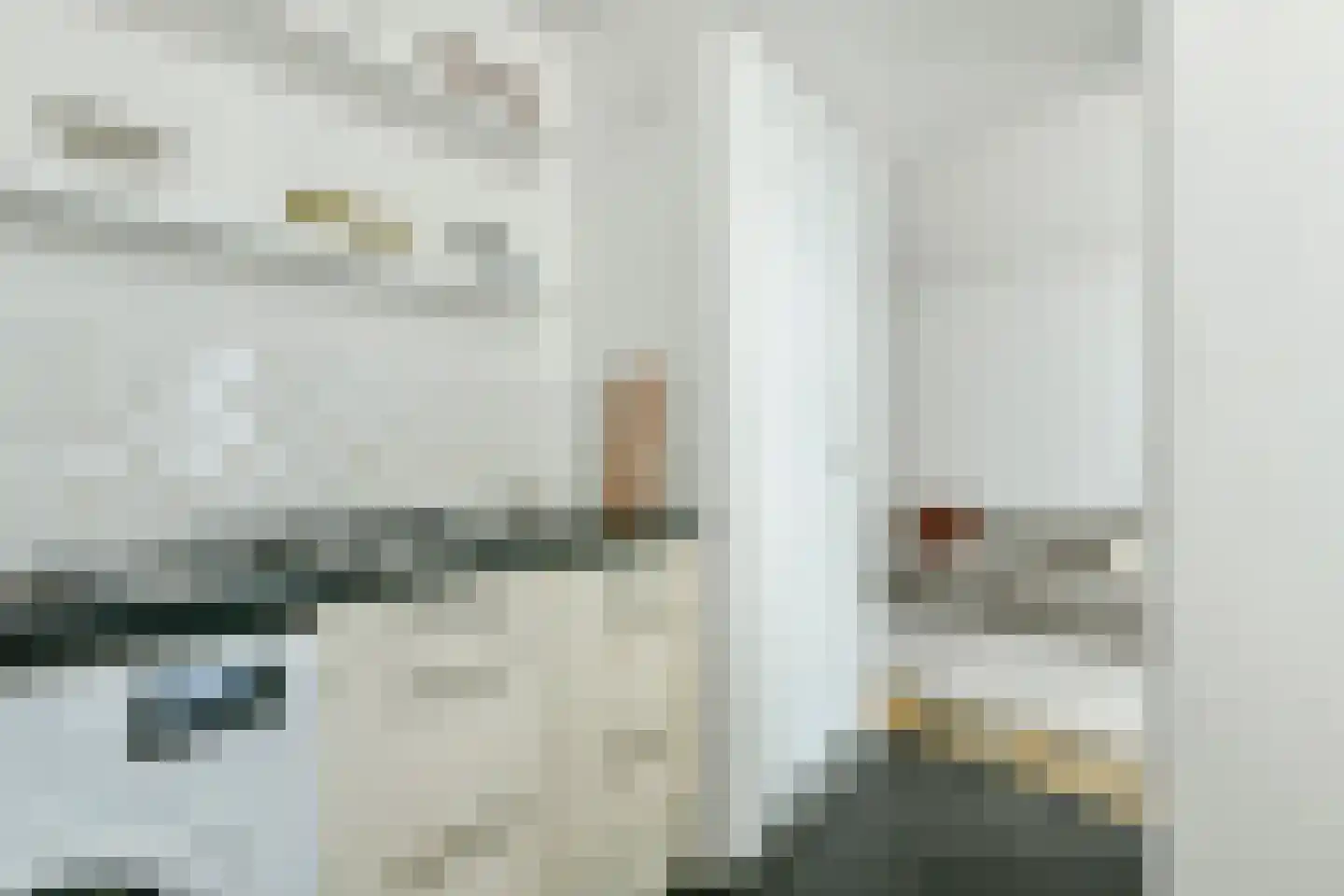 Prinseneiland 9 2LA Amsterdam thumbnail 25