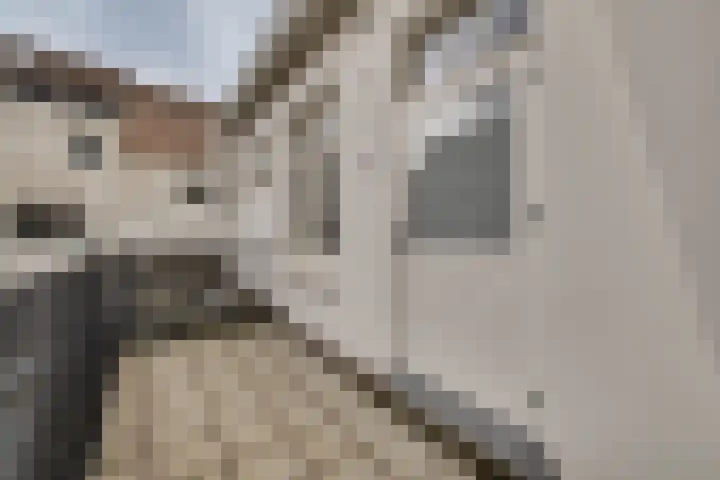 Prinsengang 25 Apeldoorn thumbnail 26