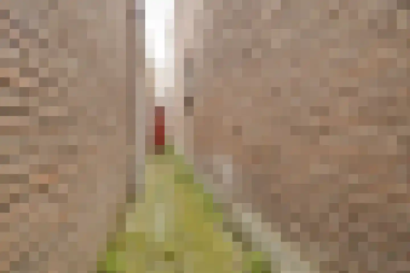 Prinsengang 25 Apeldoorn thumbnail 32