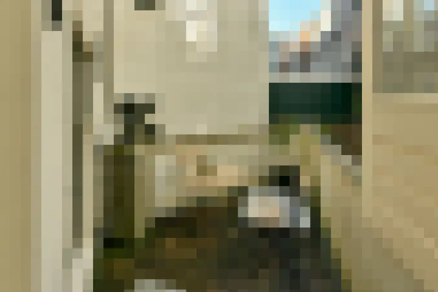 Prinsengracht 102 Amsterdam thumbnail 11